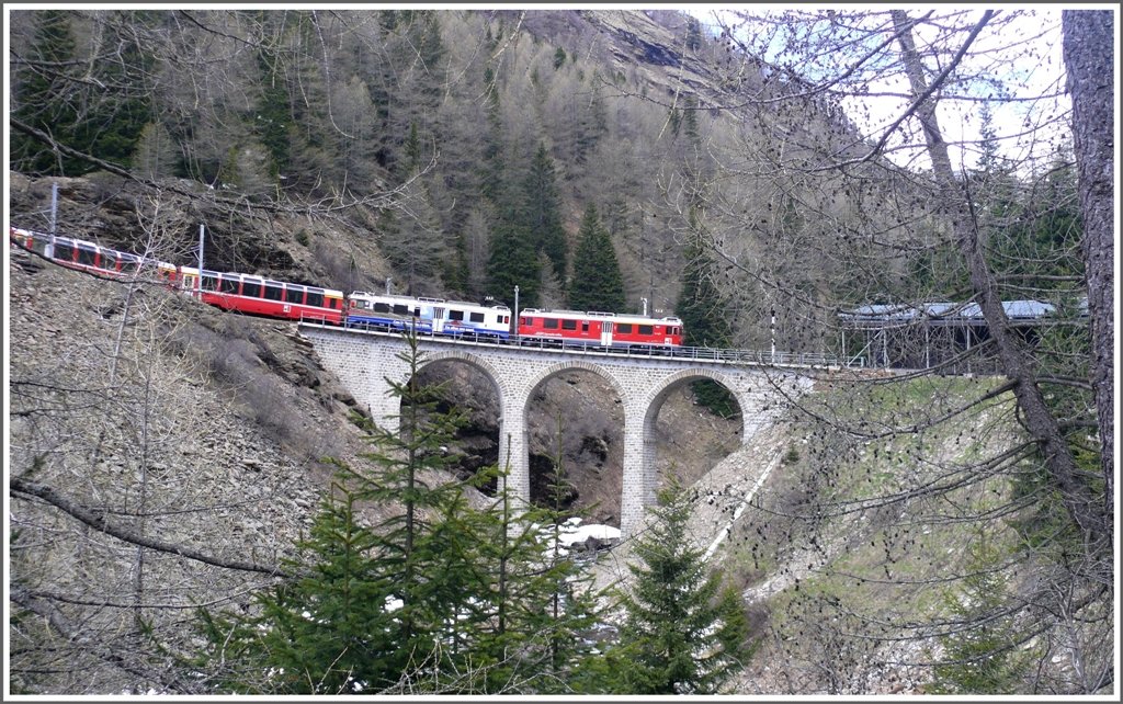 BerninaExpress 973 mit ABe 4/4 III 56  Corviglia  und 54  Hakone  berqueren das Val da Pila oberhalb von Cavaglia. (20.05.2010)