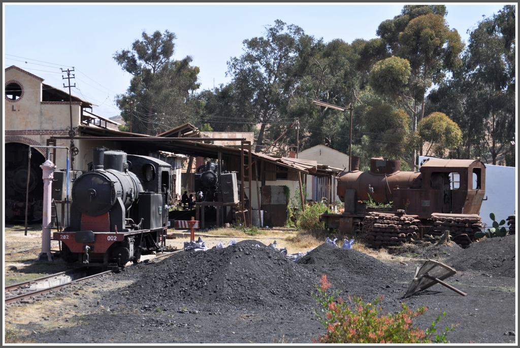 Betriebsfhige 202 002 neben der nicht betriebsfhigen 202 111 in Asmara. (28.01.2012)