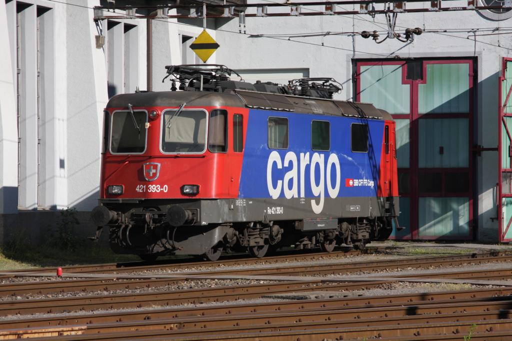 Betriebspause am 16.5.2009 fr die SBB Cargo Re 421393. Abgebgelt steht
sie vor dem verschlossenen Tor zum Depot in Erstfeld.