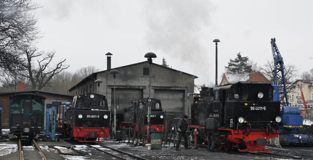 Betriebswerk Putbus im Winter - und gleich mehrere Loks der BR 99 u.a. 99 4011 und 99 4801 im Bild (31.01.2011)