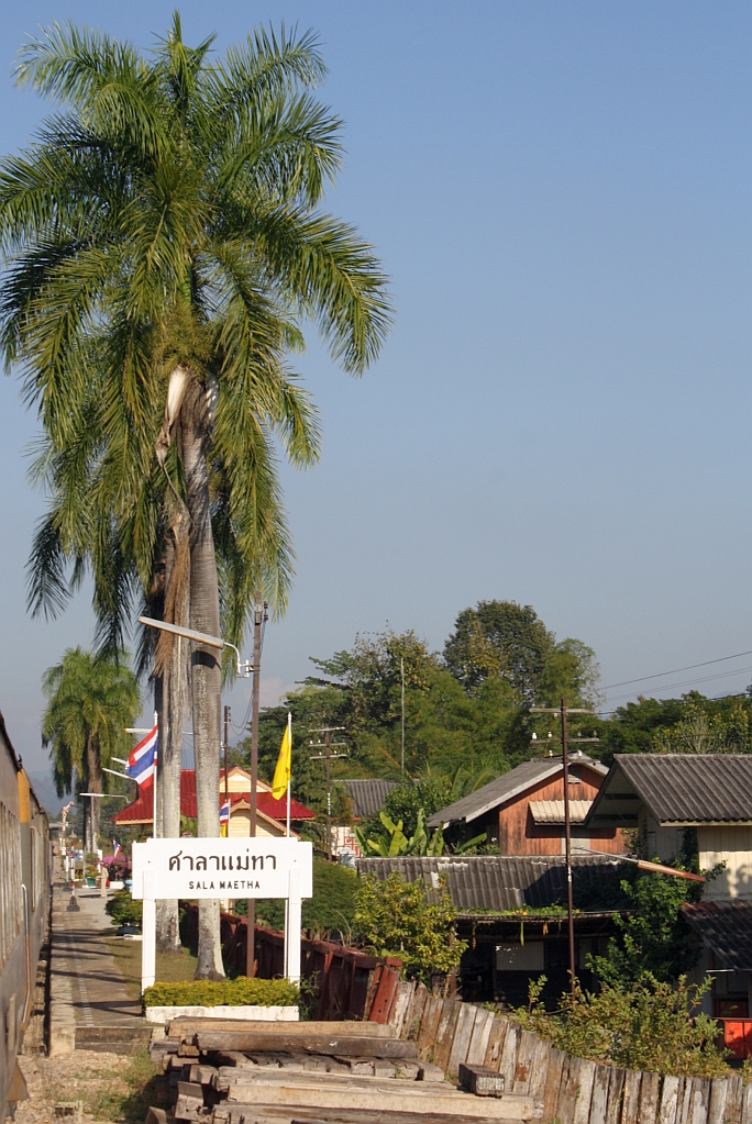 Bf. Sala Mae Tha mit seinen markanten 8 hohen Palmen, aufgenommen w�hrend der Durchfahrt mit dem EXP 52 am 06.J�nner 2011.