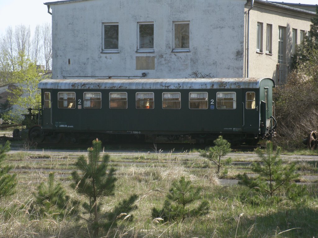 Bis in den Norden hat sich dieser sterreicher verirrt.Aufgenommen,am 05.Mai 2013,in Prora