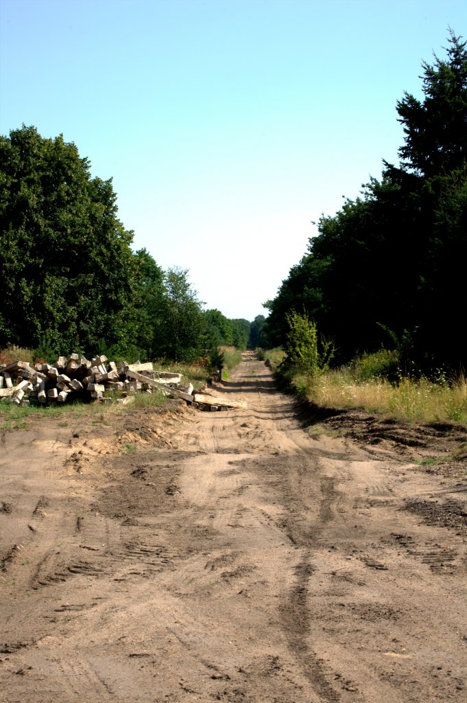 Blick auf das westliche , nun schon abgebaute Streckengleis in Buschhof, an der ehemaligen Strecke Mirow-Wittstock. Da nie wieder ein Zug verkehre ! 03.08.13  11:19 Uhr, ein sehr heier Sommertag. 