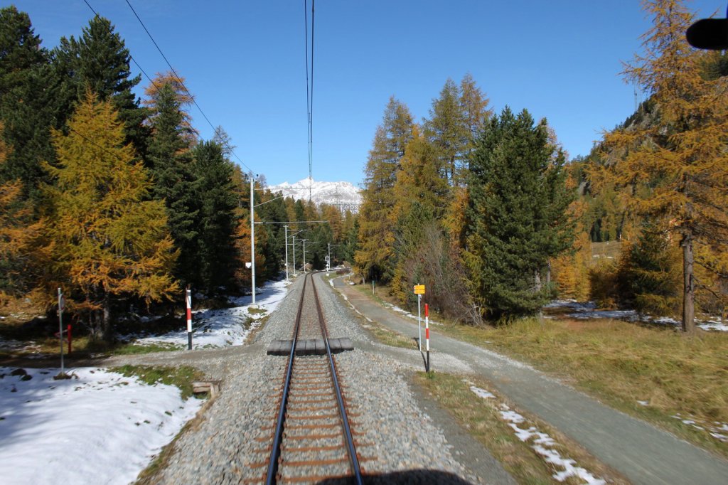 Blick aus dem letzten Wagen des Bernina Express zwischen Ponteresina und Morteratsch,auf die herbstliche Landschaft des Engadins.12.10.11

