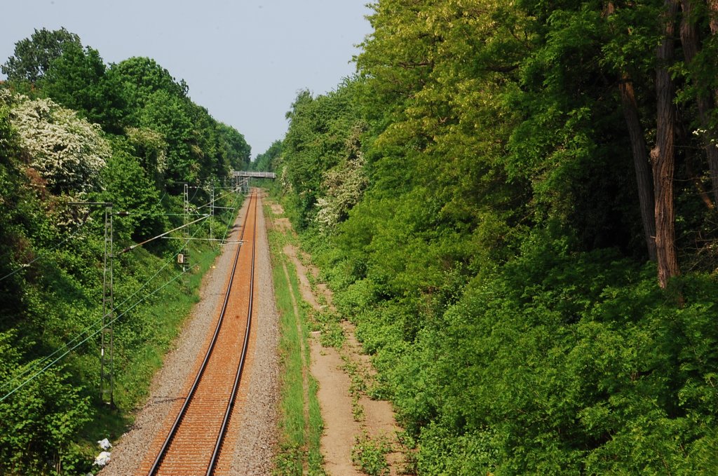 Blick von der Brcke Hohlstrae/Wateler Strae auf die Gterumgehungstrecke Rheydt/Helenabrunn. Vor einigen Jahren lagen rechts im Planum noch Gleise zum Industriegebiet Landgrafenstrae in Mnchengladbach Speick.........Rheydt 30.4.2011