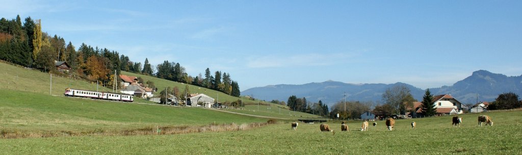 Blick in die Weite der Landschaft und die Freiburger Voralpen im Hintergrund, mitten in dieser prchtigen Landschaft unterwegs, der ex MThB ABDe 4/4 mit Bt als Regionalzug nach Bulle 
27. Oktober 2009