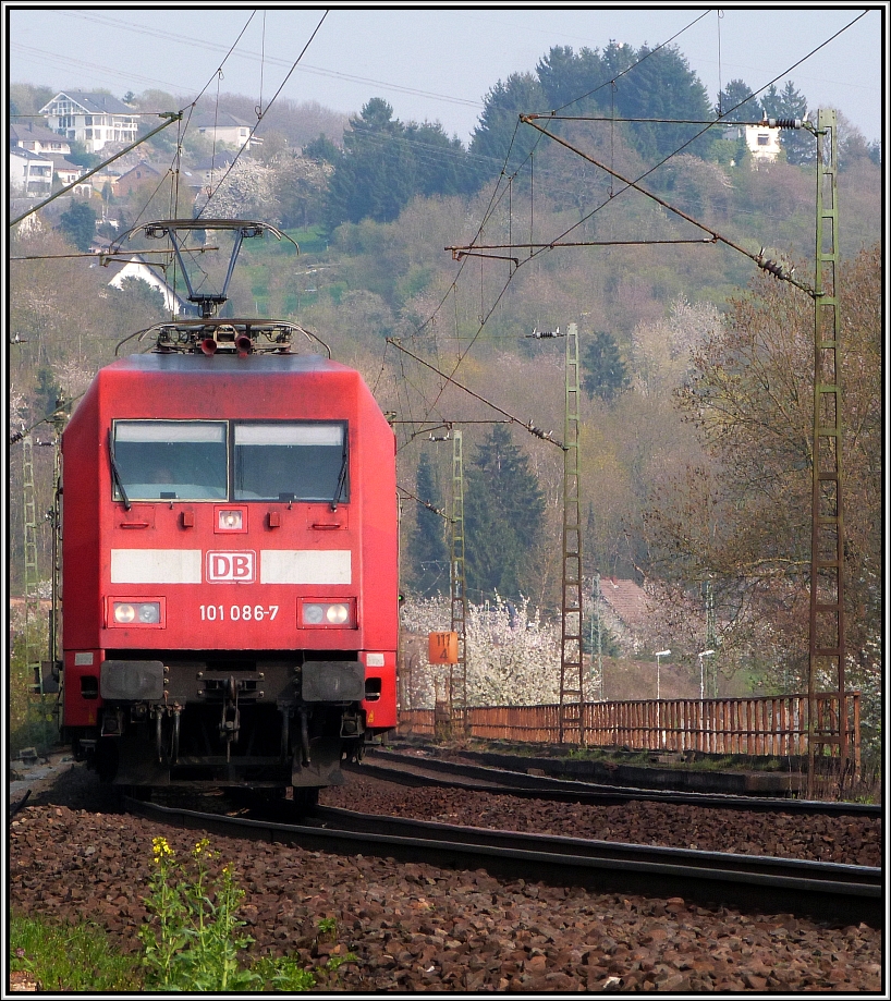 Blumen am Wegesrand,das Panorama im Hintergrund auf Linz am Rhein und die blhenden
Kirschbume,dazu passt die 101 086-7 als Motiv mit ihrer roten Farbgebung gut ins
Bild. Location: Erpel / April 2013.