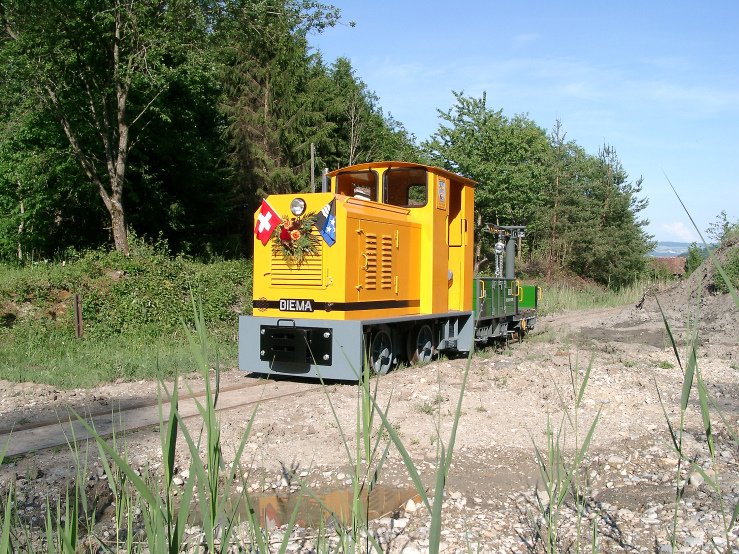 Bözenegg - Eriwis Bahn   Diema DS30 2054 festlich geschmückt anlässlich der Wiederinbetriebnahme der jahrelang im Dornröschenschlaf gelegenen Schmalspurstrecke. (Mai 2007)  Mehr zur Geschichte unter  www.bebrail.ch