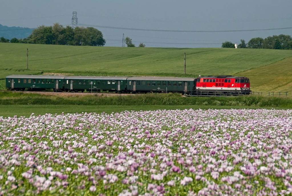 BR 2143 073 mit REX 7388 (Wien Sdbahnhof - Ernstbrunn) hat soeben pnktlich die Haltestelle Stetten Fossilienwelt verlassen. Das Foto enstand am 06.06.2010.