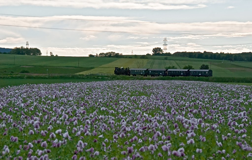 BR 30.33 mit dem Nostalgie Express Leiser Berge (Ernstbrunn - Korneuburg - Wien Sdbf. Ostseite), kurz vor Stetten. Die Aufnahme entstand am 30.05.2010.