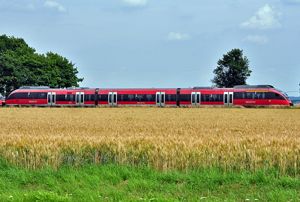 BR 644  im Kornfeld  zwischen Rheinbach und Odendorf - 04.07.2012