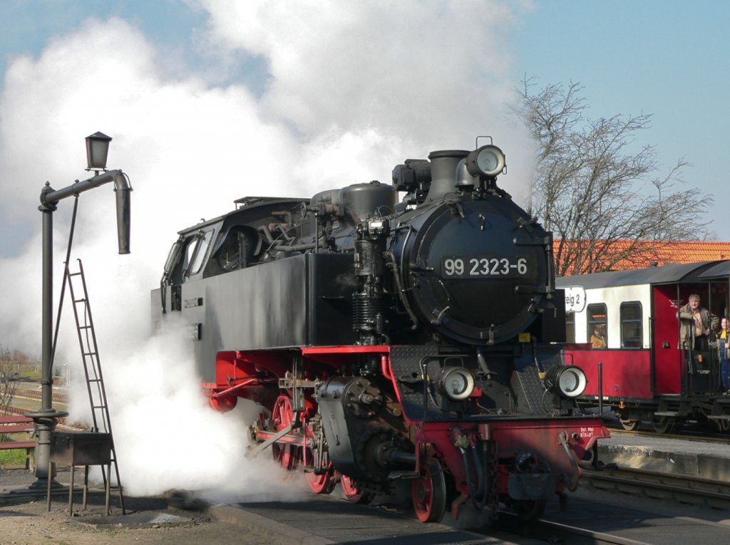 BR 99 2323 der Mecklenburgischen B�derbahn Molli in Bad K�hlungsborn-West auf dem Weg vom Wasserkran zum Zug nach Bad Doberan. (26.03.2007)