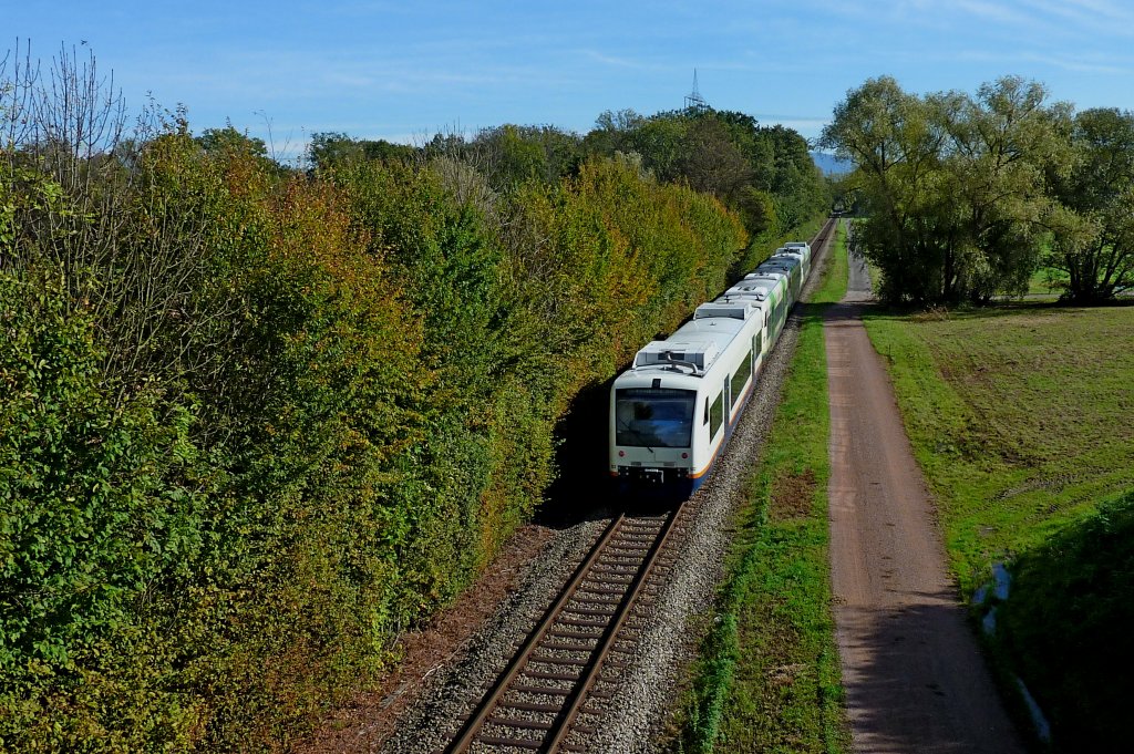 Breisgau-S-Bahn (BSB) auf dem Weg zwischen Gottenheim und Hugstetten, Okt.2012