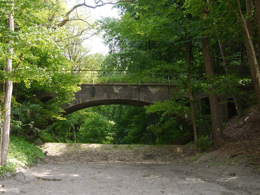 Brcke ca. 2 km vor Mlln als Relikt der ehemaligen Strecke von Hollenbek (DB KBS 114c, Stichbahn von der Kaiserbahn Berlin - Kiel) ; 11.06.2013
