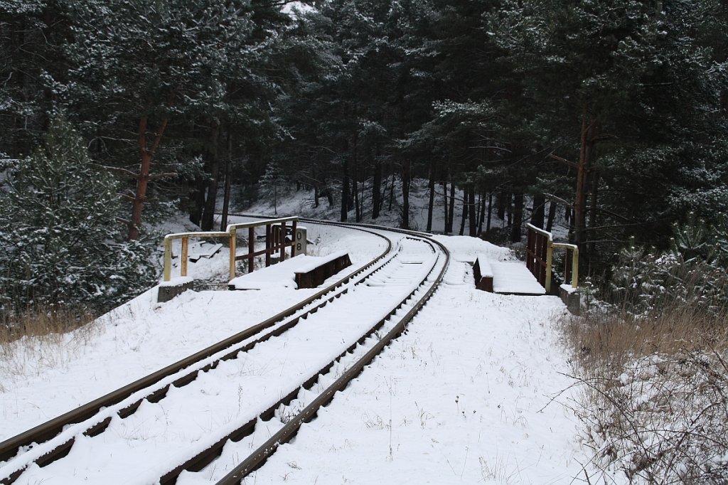 Brcke der Industriebahn Eberswalde ber die ehem. Verbindungskurve am 05.01.2010