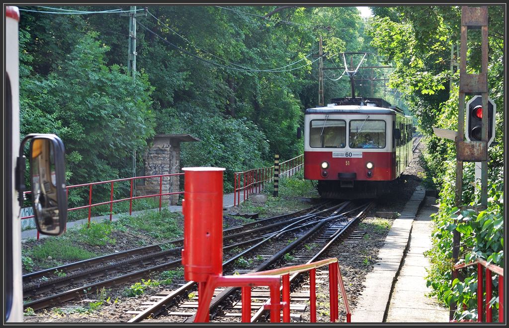 Budapester Zahnradbahn Vrosmajor - Szchenyi-hegy. Kreuzung mit Zug 51 in Erdel isk. (11.05.2013)