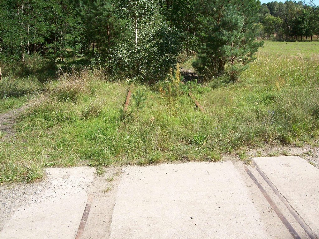 B zwischen Flugplatz und Finowfurt bei Km 8,0 
31.08.08