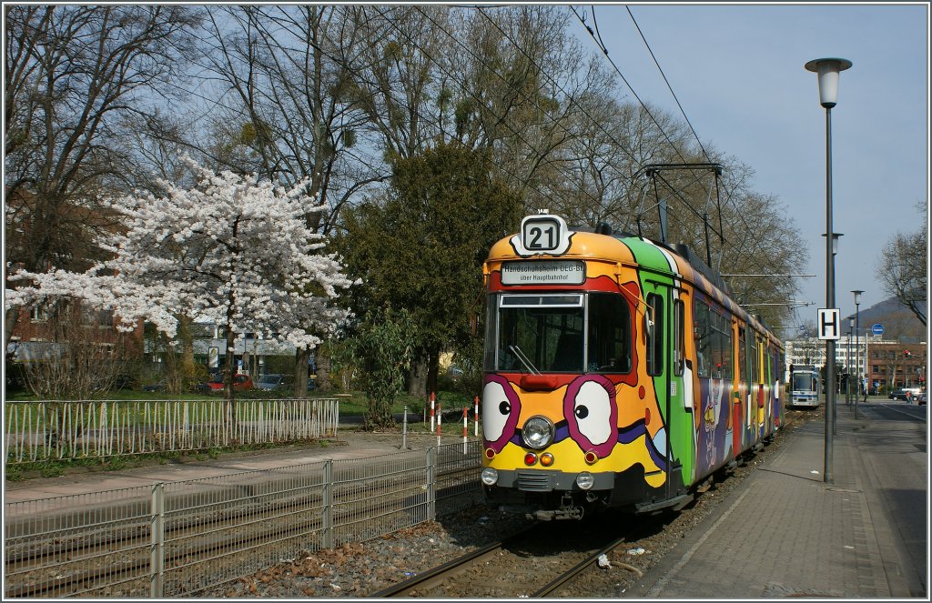 Bunter Frhling in Heidelberg. 
Eine Strassenbahn der Linie 21 bei den Stadtwerken am 27. Mrz 2012.