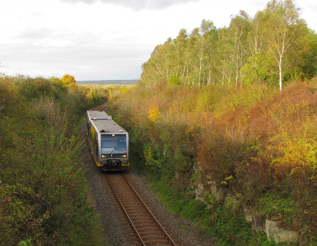 Burgenlandbahn 672 902  Rotk�ppchen Sekt  + 672 903  Stadt Nebra  als RB  25983 von Wangen (U) nach Naumburg (S) Ost, bei Burgscheidungen; 24.10.2010