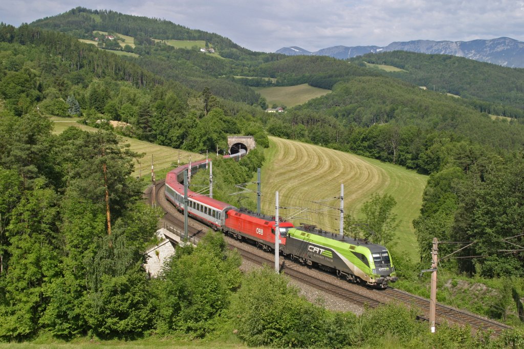  CAT  1116.141+110 mit OIC-531 bei der Steinbauerwiese am Eichberg. 15.6.13