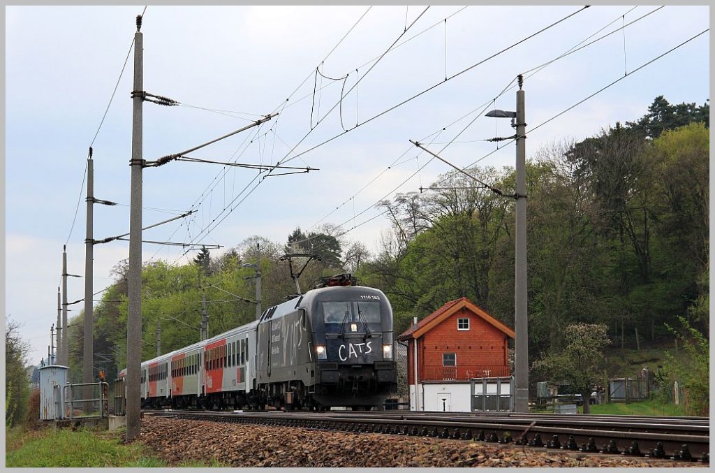  Cats  1116 153 mit Waldviertel-Express 2110 beim Fischerhaus in Kritzendorf. 19.4.12