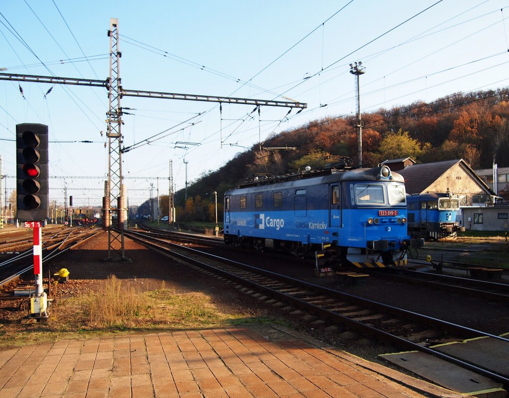 CD Cargo 123 019 auf Hbf. Kralupy nad Vltavou am 13.11.2012.