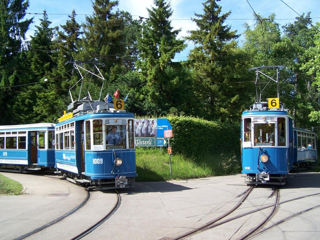 Ce 2/2 1009 und Be 2/2 1019 an der Haltestelle Zoo am 29/05/11.