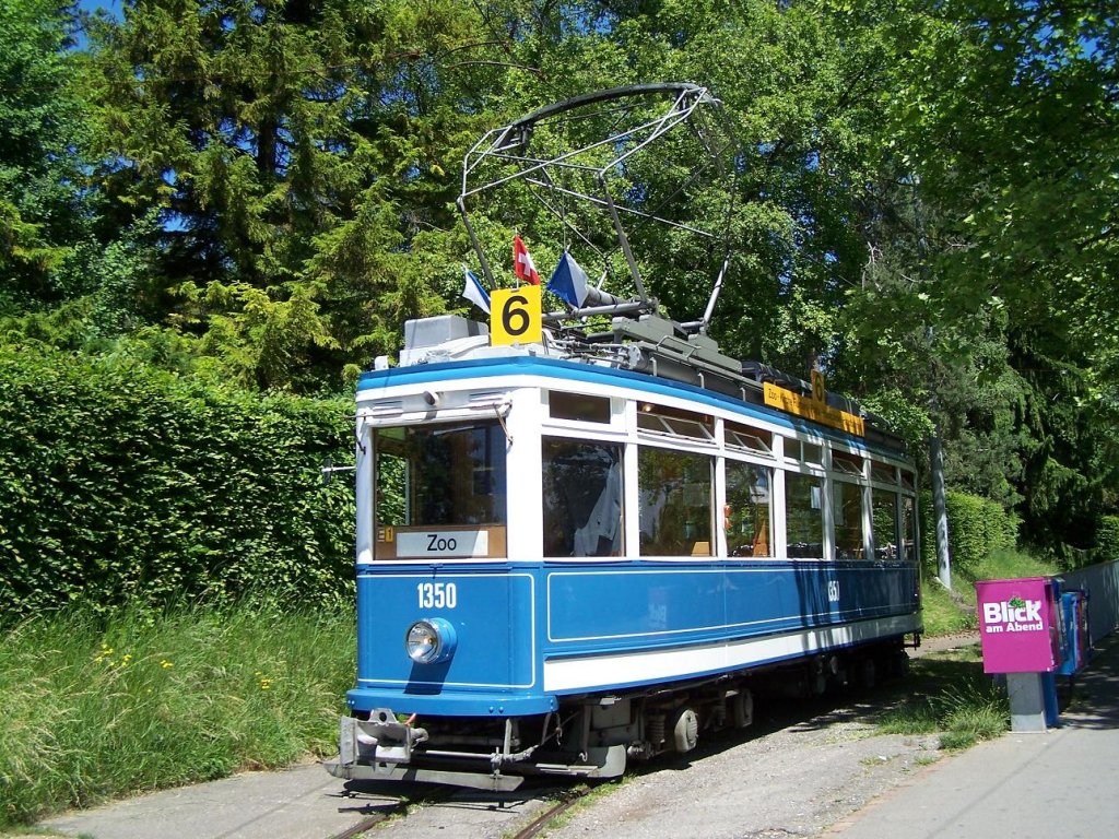 Ce 4/4 1350 Elefant auf einem Abstellgleis am Zoo am 29/05/11.