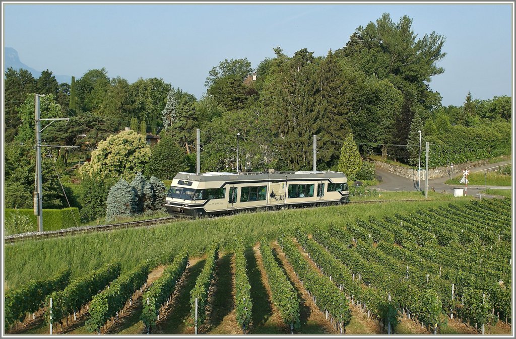 CEV GTW Be 2/6 zwischen den Weinreben oberhalb von Vevey kurz nach der Haltestelle Clies am 30. Juni 2010. 