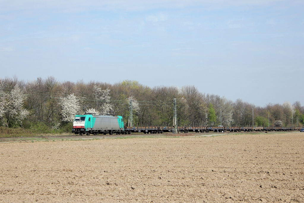 CFL Cargo 186 247-3 in Vilich-Mldorf am 3.4.2012 