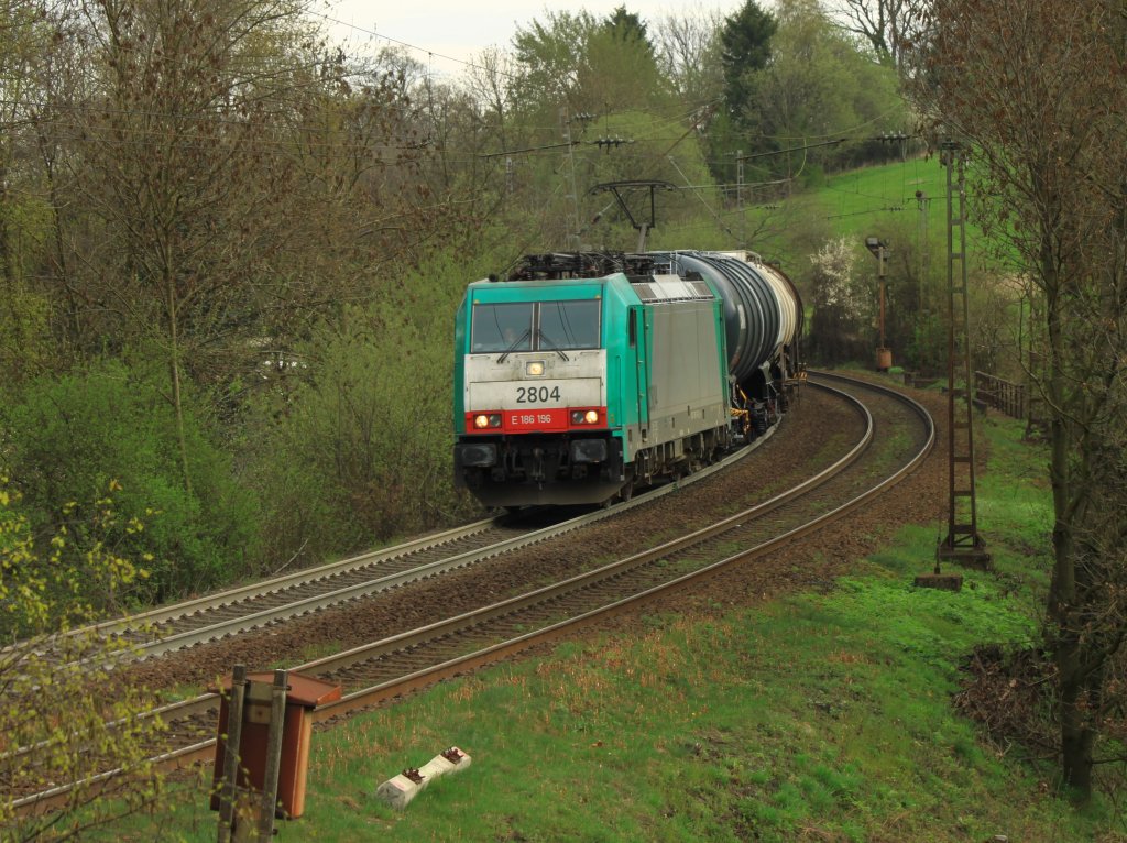 Cobra 186 196 (2804) zieht am 06.04.2011 einen Kesselzug von Aachen West kommend durch die letzte Kurve vor dem Gemmenicher Tunnel. Die Montzenroute nach Belgien ist nicht nur kurvig sondern auch steil. Deshalb ist das Berggleis auch von dem hufigen Sandeinsatz der Lok´s hellgrau.