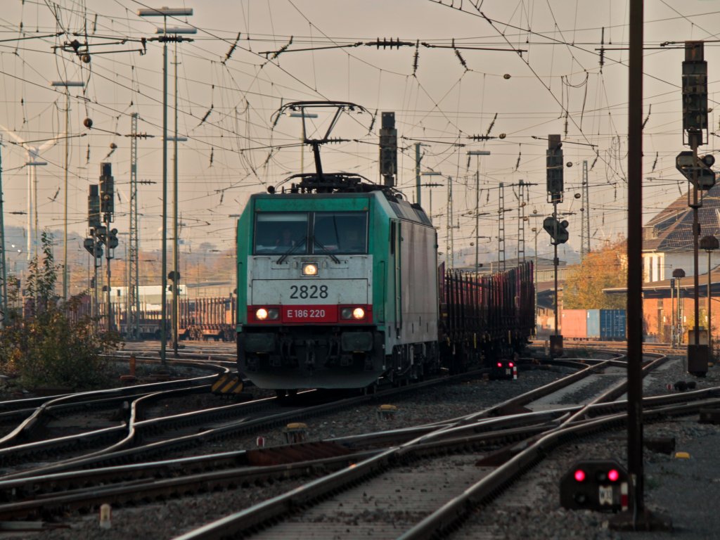 Cobra 186 220 (2828) zieht am 16.11.2011 einen leeren Rungenwagenzug aus Aachen West Richtung Kln.