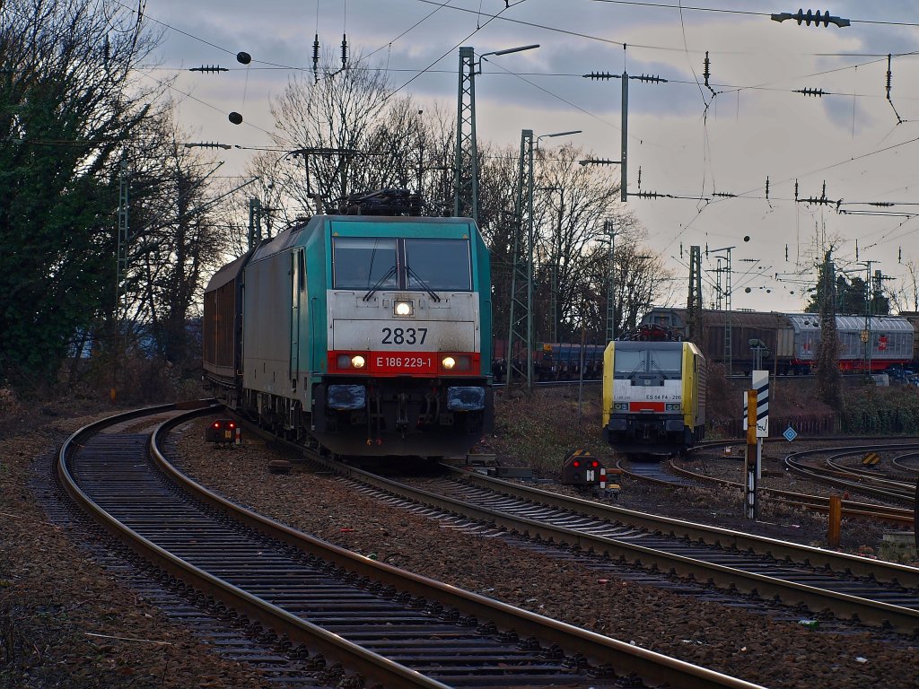 Cobra 186 229-1 rollt langsam am 11.01.2011 mit einem gemischten Gterzug von Belgien und wechselt in der letzten Kurve der Montzenroute vor Aachen West das Gleis. Rechts steht 189 206 (ES 64 F4-206) von Locon abgestellt.