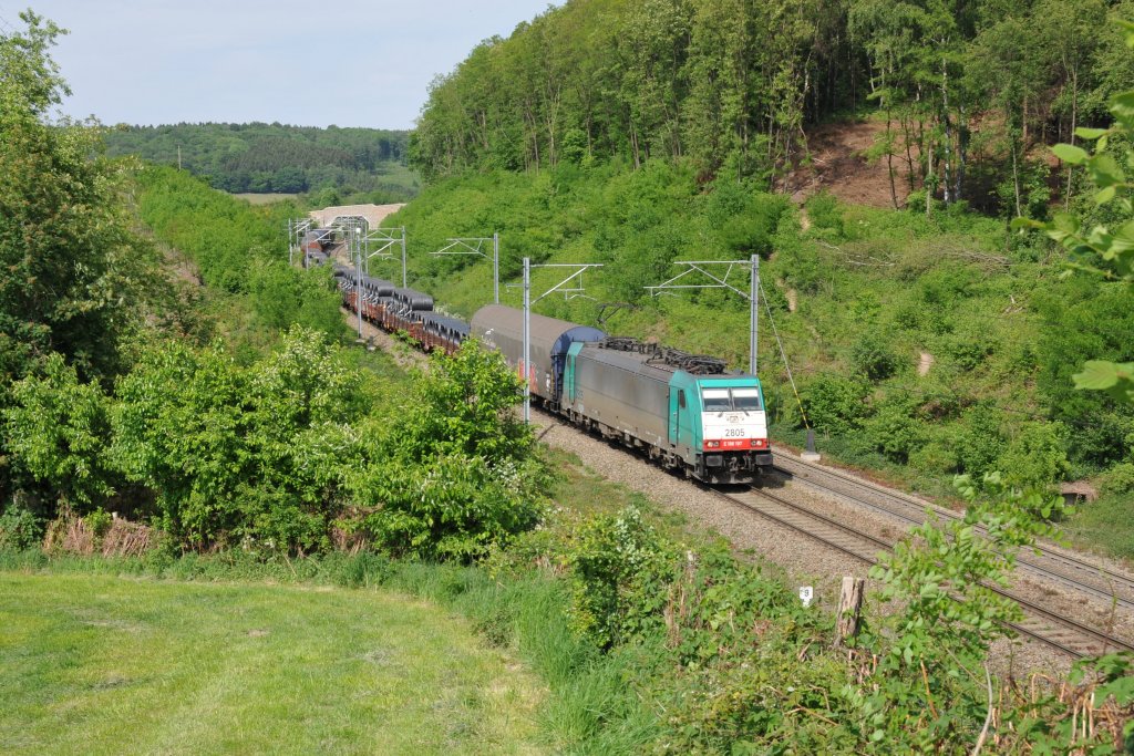 Cobra-Lok 2805 im Gemmenicher Wald auf dem Weg Richtung Montzen. Aufgenommen am 08/05/2011.