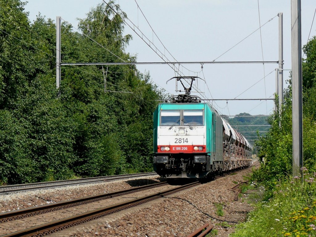 Cobra-Lok 2814 unterwegs auf der Montzenroute, hier bei Warsage. Die Masten auf der linken Seite verschwinden schon fast ganz im Gestrpp. An manchen Stellen ragen die Strucher schon fast bis an die Gleise. Es ist dringend Zeit, dass Infrabel bald mit der Heckenschere vorbeikommt. Aufgenommen am 14/08/2010.