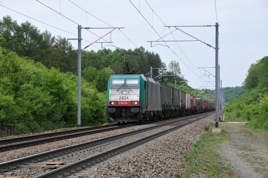 Cobra-Lok 2824 zieht einen langen Gterzug durch den Gemmenicher Wald Richtung Montzen. Aufgenommen bei Moresnet-Chapelle am 08/05/2011.