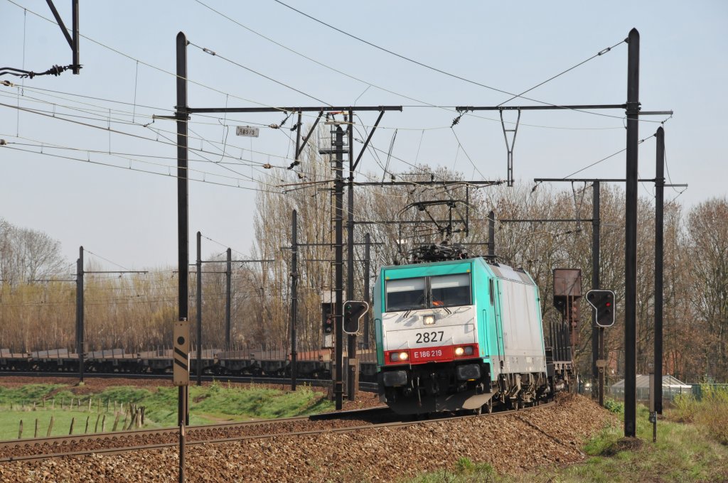 Cobra Lok 2827 legt sich hier mit ihrem Gterzug in die Kurve auf der groen Schleife in Ekeren. Aufgenommen am 02/04/2011.