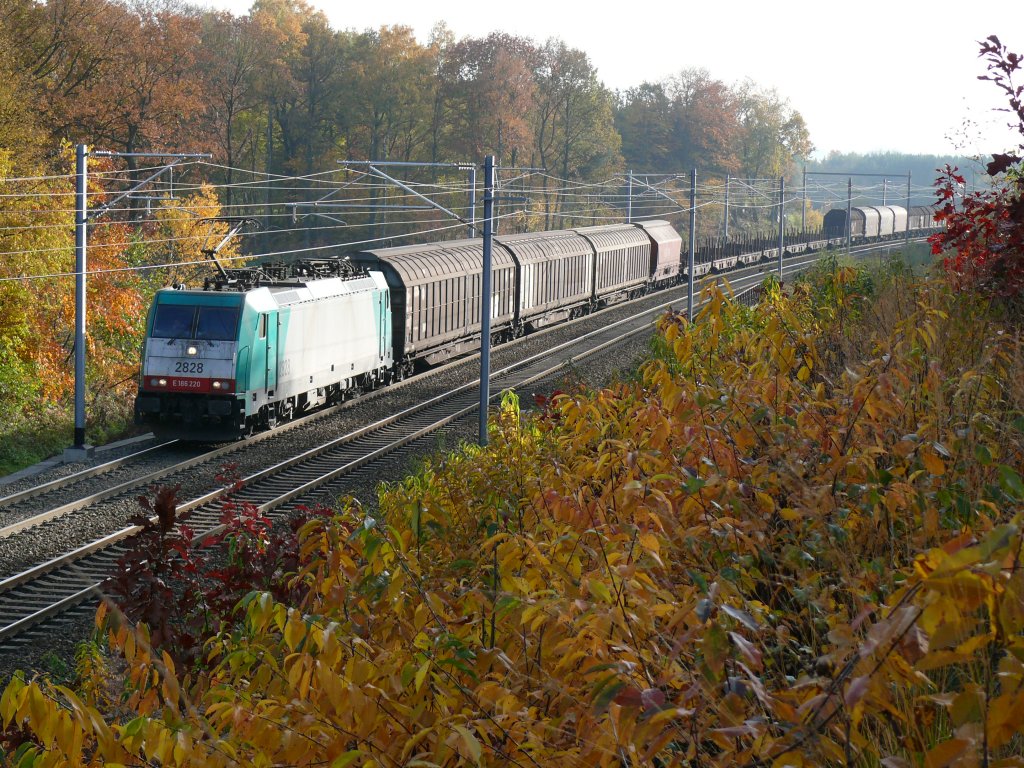 Cobra-Lok 2828 zieht einen gemischten Gterzug durch den herbstlich gefrbten Wald von Moresnet-Chapelle nach Aachen-West. Aufgenommen am 31/10/2009.