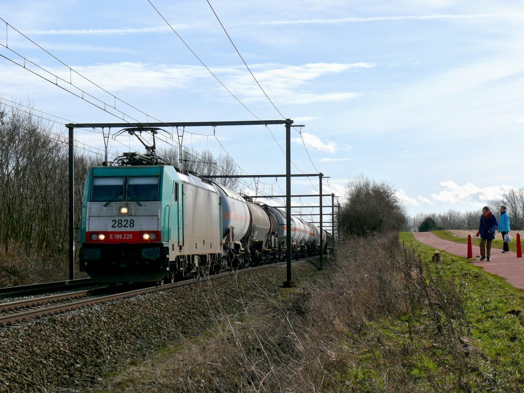 Cobra-Lok 2828/ zieht einen Kesselwagenzug in Richtung Antwerpen. Hier aufgenommen am 27/02/2010 kurz vor Hoeselt.