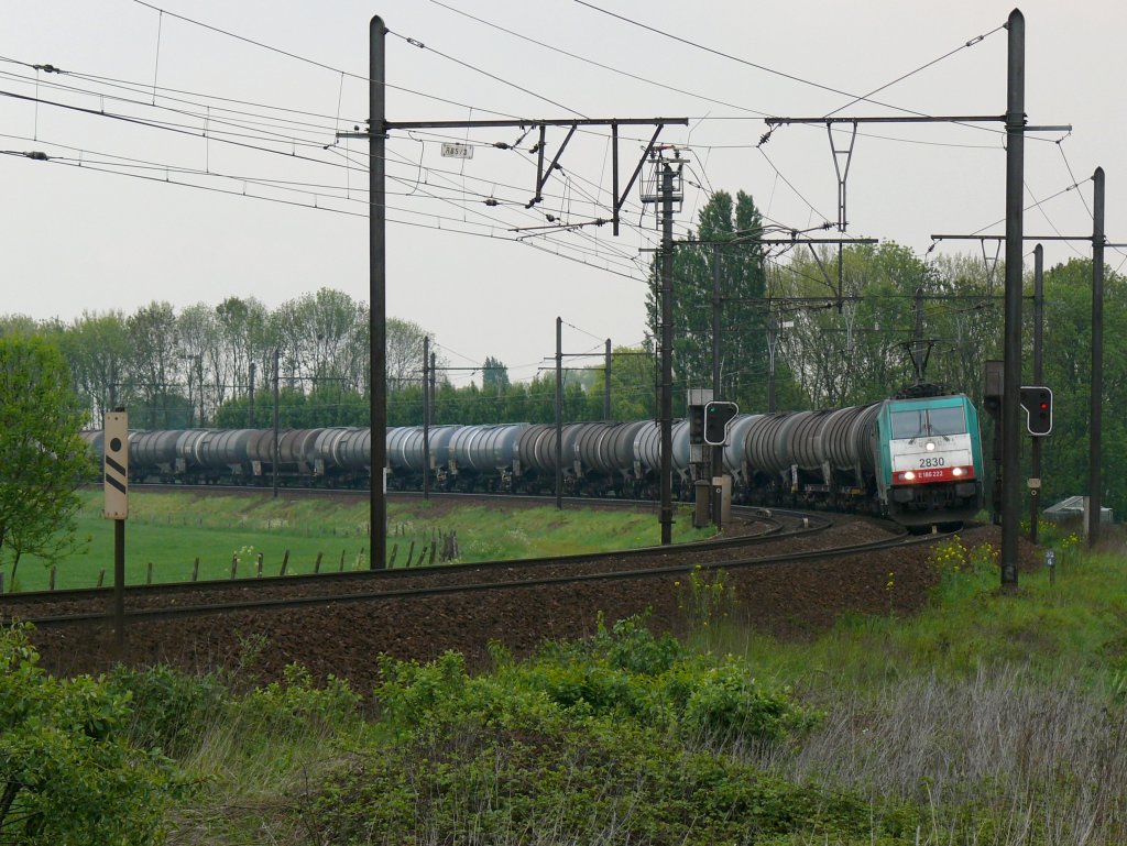 Cobra-Lok 2830 (186 222) mit einem Kesselwagenzug auf dem Weg nach Aachen-West, hier aufgenommen am 14/05/2010 auf der grossen Schleife bei Ekeren. 