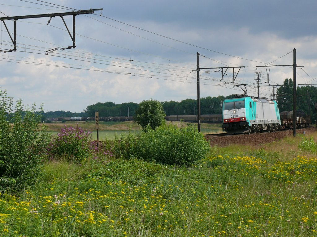 Cobra-Lok 2830 zieht einen langen GZ durch die lange Schleife bei Ekeren. Das hintere Ende des Zuges befindet sich noch auf der Gegengeraden. Aufgenommen am 30/07/2010.