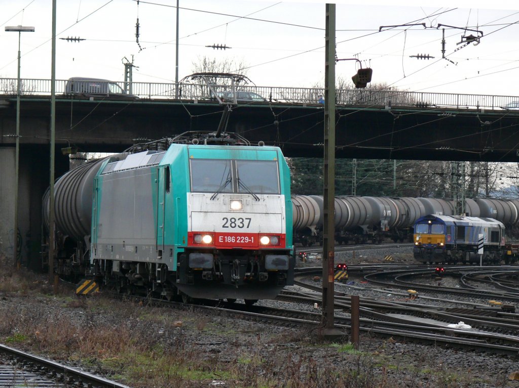 Cobra-Lok 2837 am Ende der Rampe mit einem Kesselwagenzug bei der Einfahrt in Aachen-West. Rechts hinten im Bild erkannt man die geparkte 6603 der SNCF Fret Benelux, die etwas spter wieder solo nach Belgien zurckfuhr. Aufgenommen am 29/12/2009.