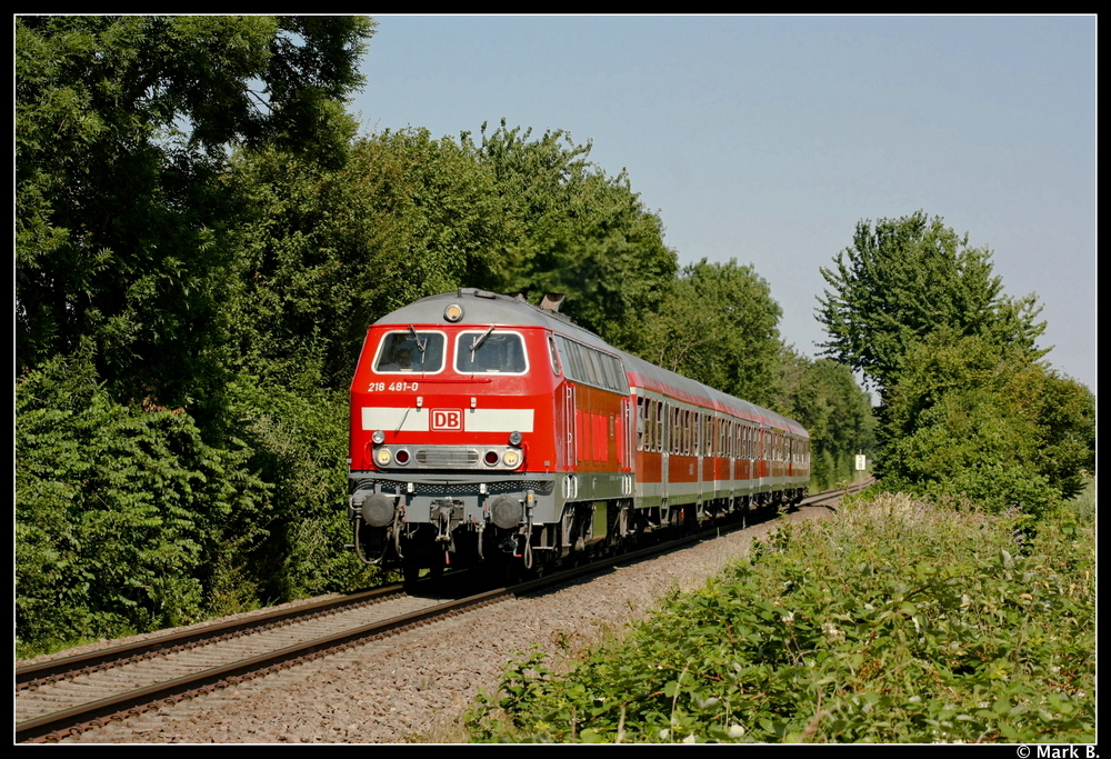 Comeback der 218, Karlsruhe-Neustadt! 218 481 am 19.07.10 zwischen Kandel und Winden(Pfalz). 