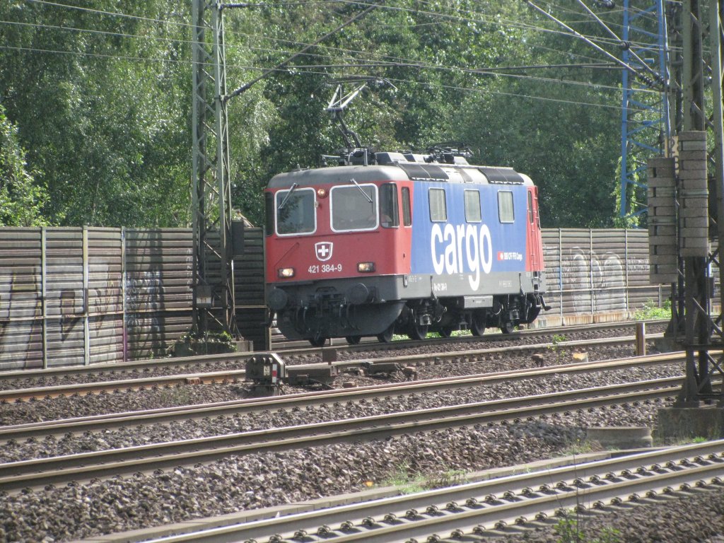 Da fhrt man hunderte von Kilometern, weit weg, um mal was anderes zu sehen, und was kommt einem da entgegen? Die Re 421 384! GRR... Hamburg,Harburg 29.08.2009 (Bahnbilder-Treffen)