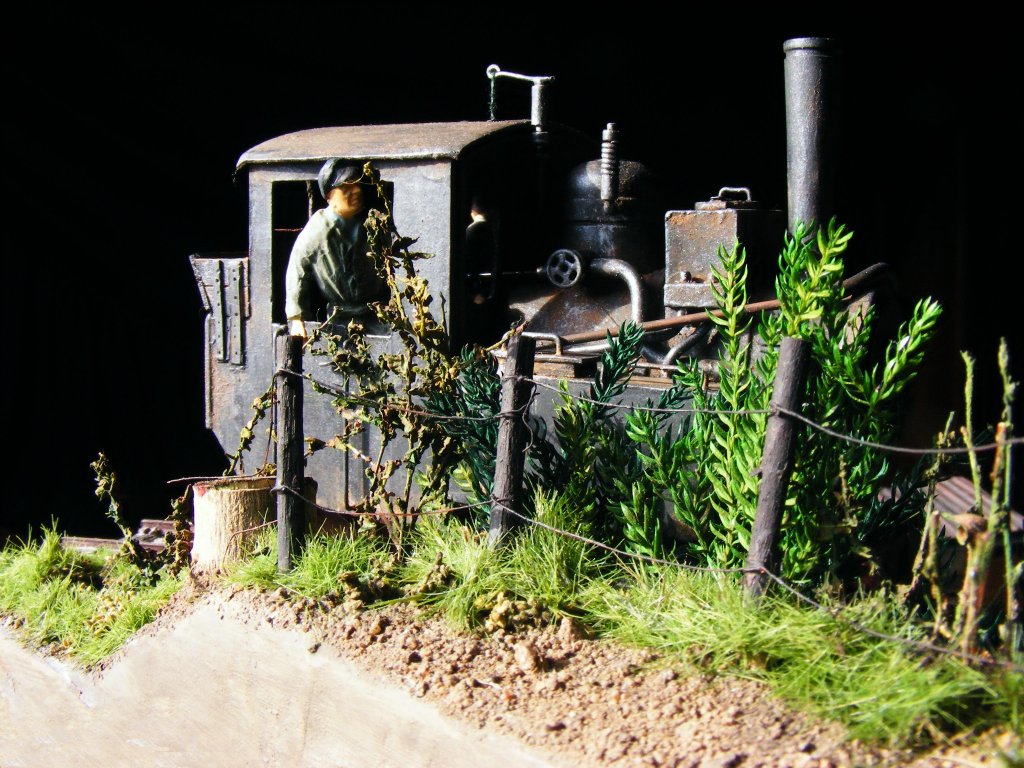 Da hat doch jemand unsere  Lucy , die 600mmm-Feldbahn-Dampflok, auf ihrem Ausflug fotografiert. (03)