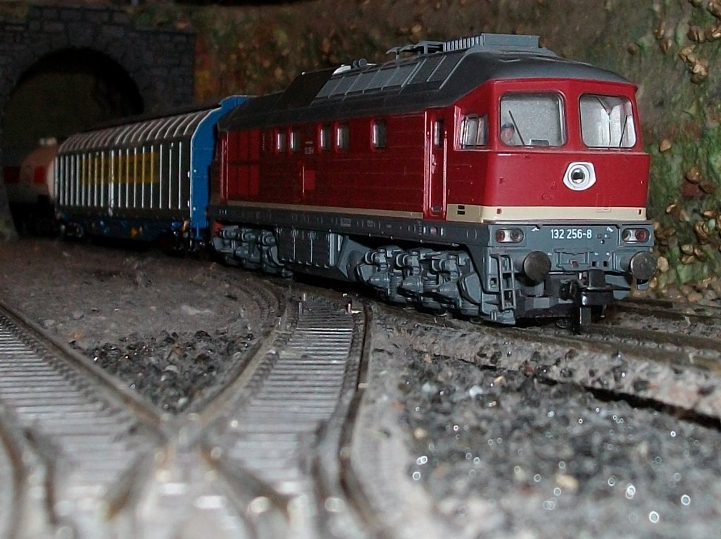 Da ich nur wenige Meter von der Hauptstrecke wohne,kann ich auch viele Zge auf meiner Anlage fahren lassen die auch auf der Hauptstrecke fahren.So bespannte Roco 132 256 einen Gterzug auf meiner Zimmeranlage als Dieser aus dem Tunnel kam.