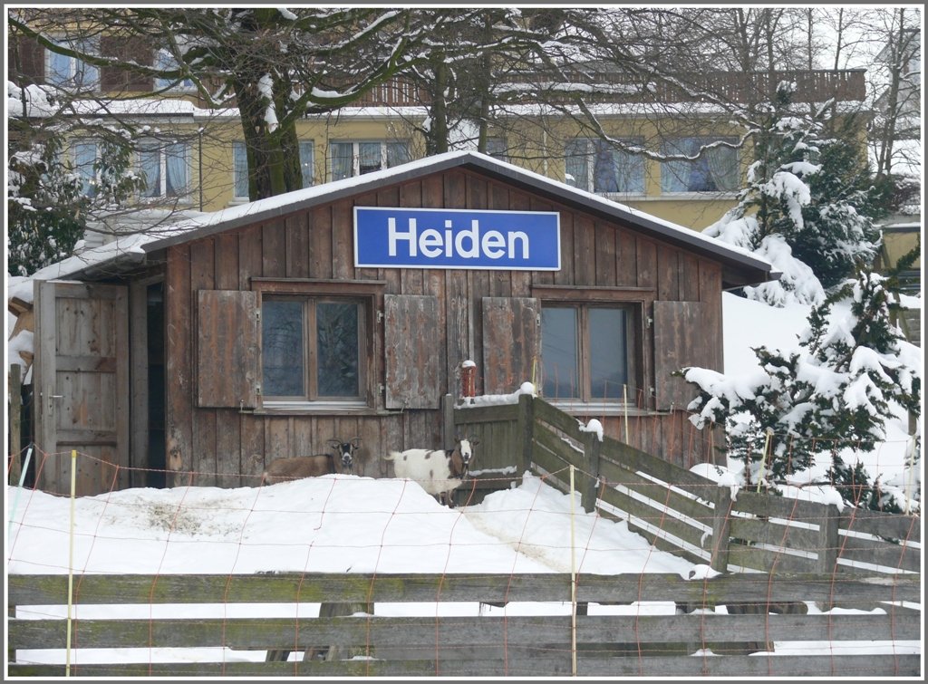 Damit ankommende Passagiere der RHB wissen wo sie sind, hat der Besitzer des Hotel Sunnematt kurzerhand seinen Zwerggeissenstall mit einem berzhligen Stationsschild versehen. (15.02.2010)