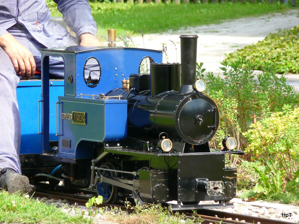 Dampfbahn Aaretal Mnsingen - Dampflok  TIGER  unterwegs am 29.08.2010