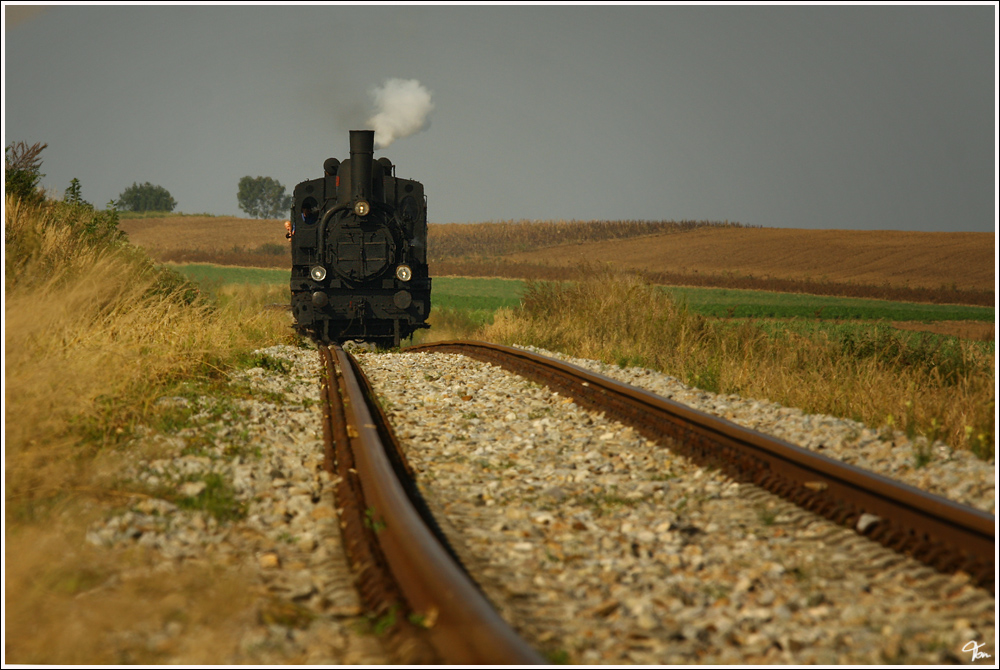 Dampflok 17c372 fhrt mit EZ 7394  Leiser Berge  von Korneuburg nach Ernstbrunn. Teleaufnahme (nicht im Gleisbereich ;O)
Naglern 24.9.2011 
