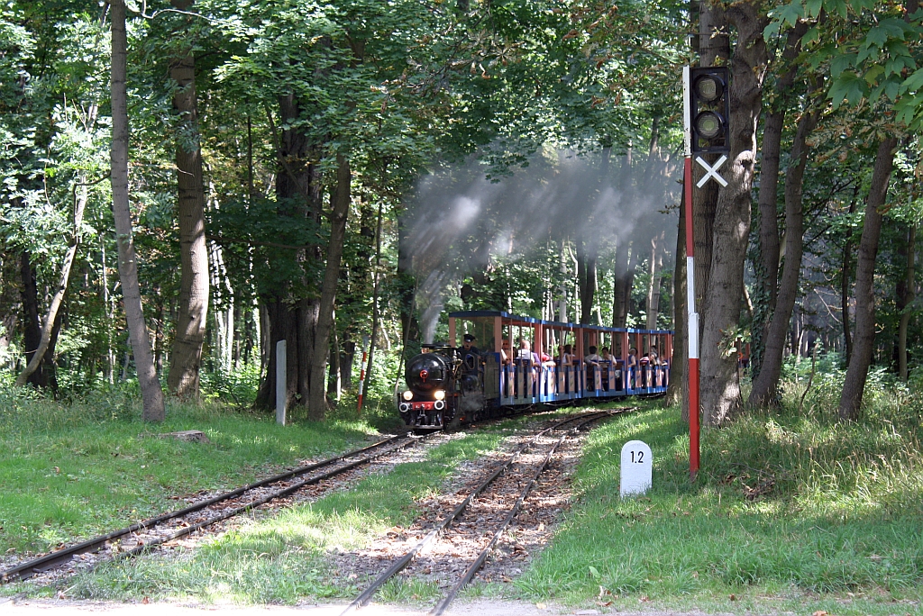 Dampflok 2 der wiener Liliputbahn am 14.August 2011 kurz vor der Hst. Rotunde aus Richtung Stadion kommend.